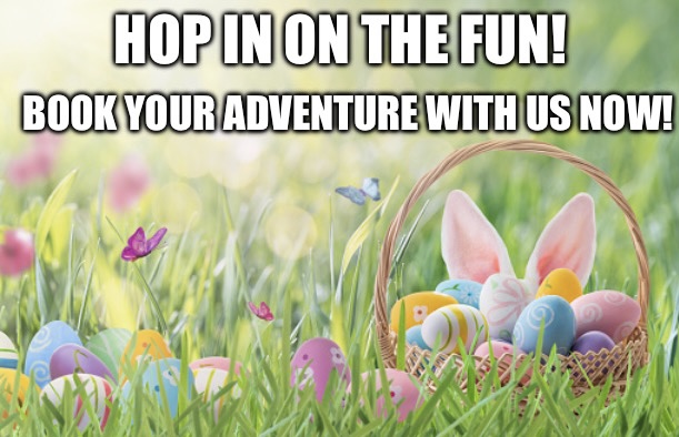 A bunny in the grass with easter eggs.