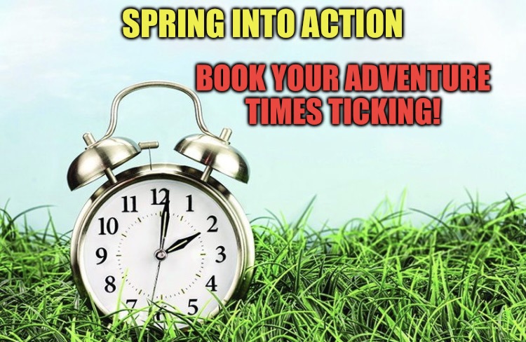 A clock sitting in the grass with words " spring into action book your advent times ticking ".